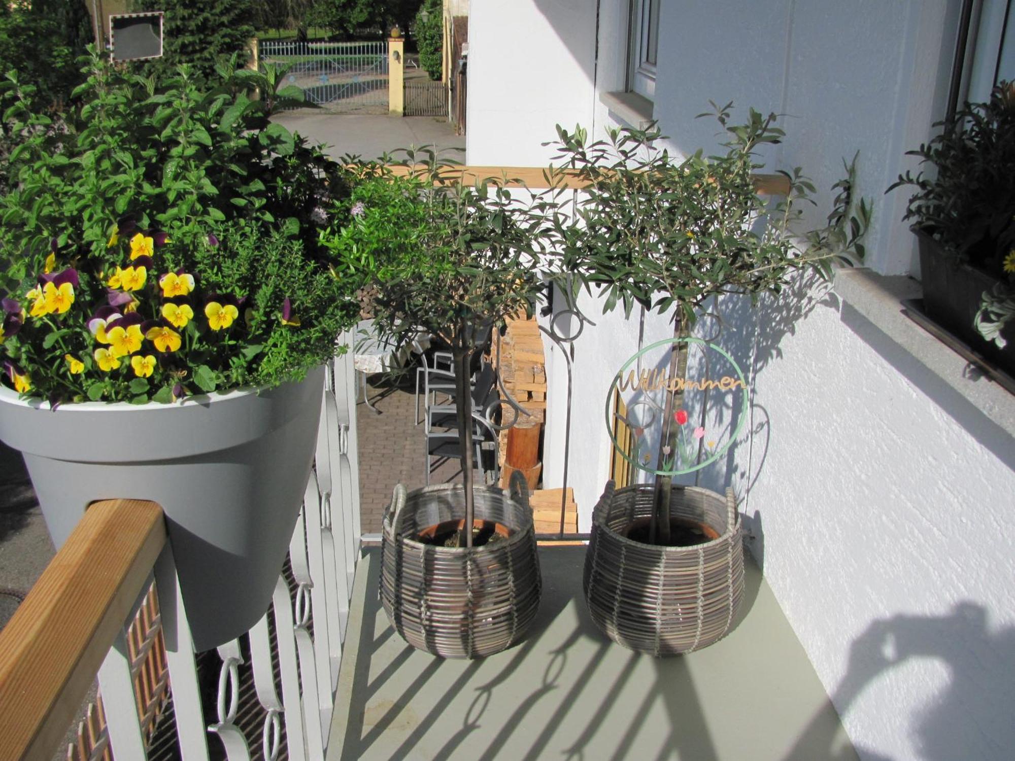 #1Gemuetliches Ruhiges Sonniges Balkonzimmer Mit Gemeinschaftsbad W-Lan Airport Nah Late Night Check In Haus Nr 9,5 Trunkelsberg Kültér fotó